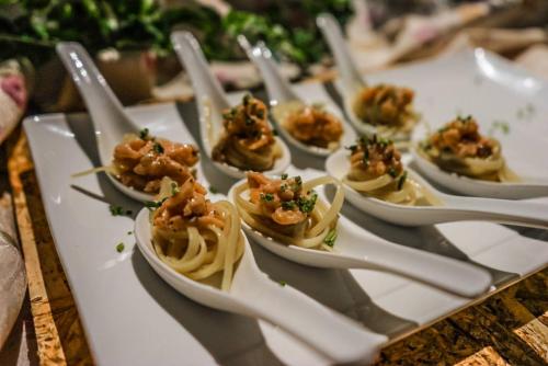 13116243 1122621917759081 5275329930765106600 o