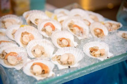 12371020 1043974315623842 5107467631612147726 o