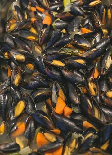 12046636 1021845554503385 6729185237410313640 n